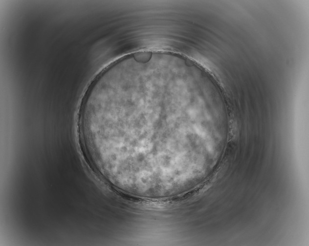 X0000088851086200707061028