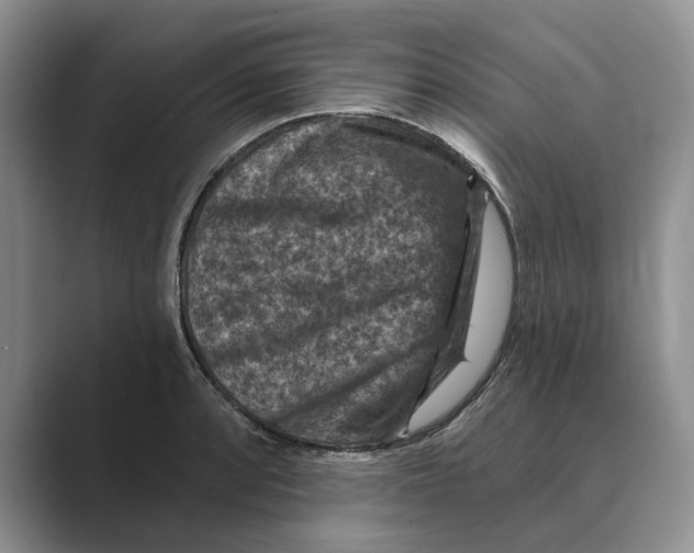 X0000088851088200707061028