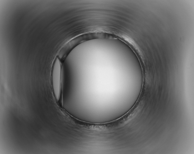 X0000088851089200707061028