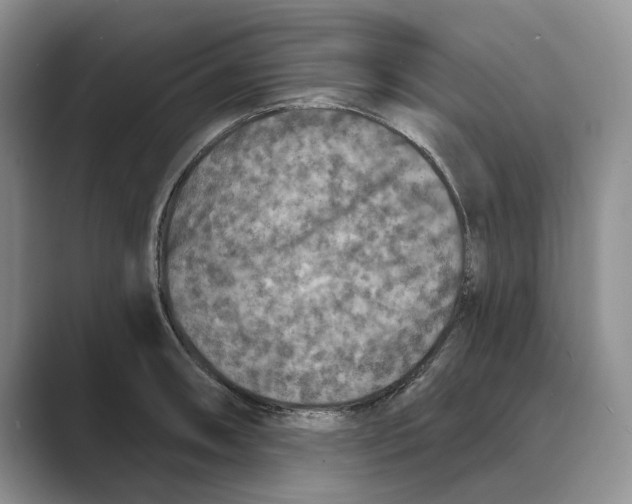 X0000088851090200707061028