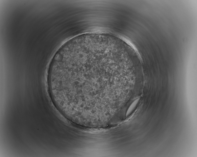X0000088851091200707061028