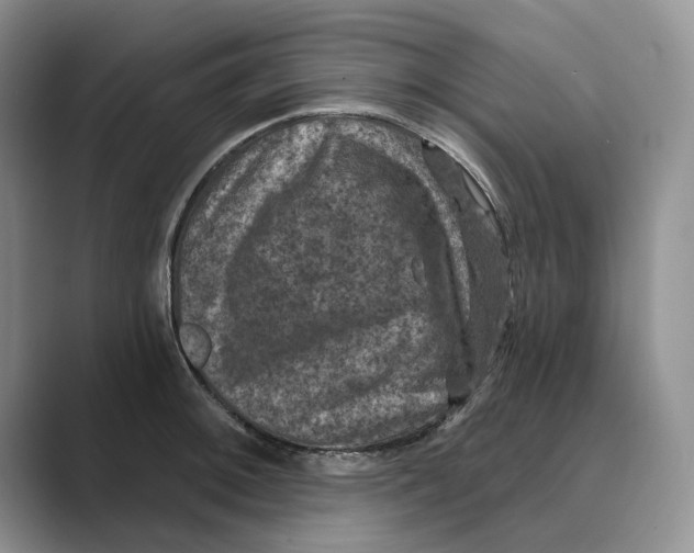 X0000088851092200707061028