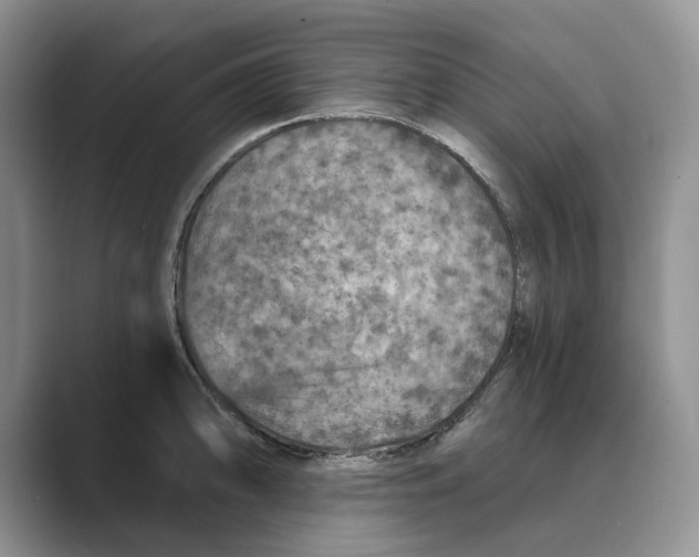 X0000088851094200707061028