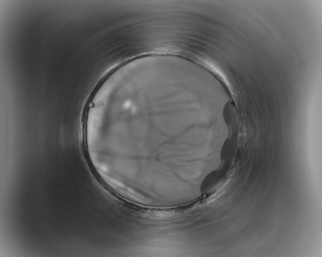 X0000088851095200707061028
