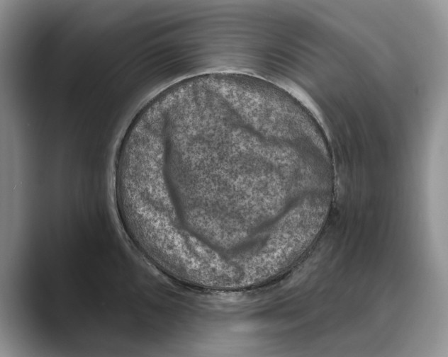 X0000088851096200707061028