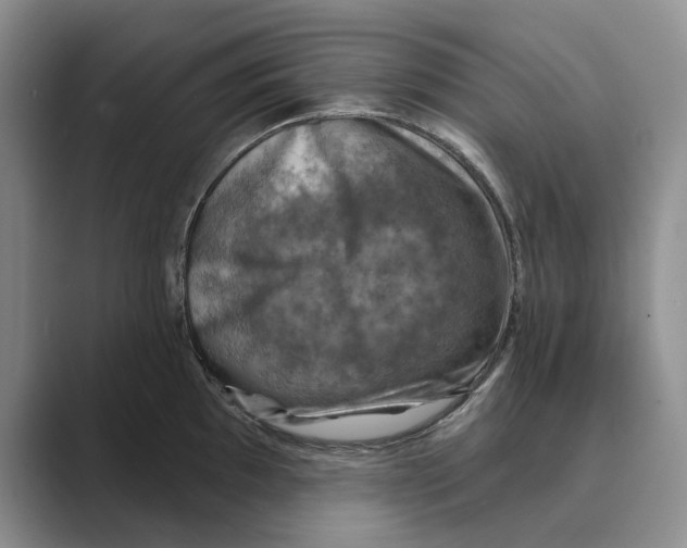 X0000088851097200707061028
