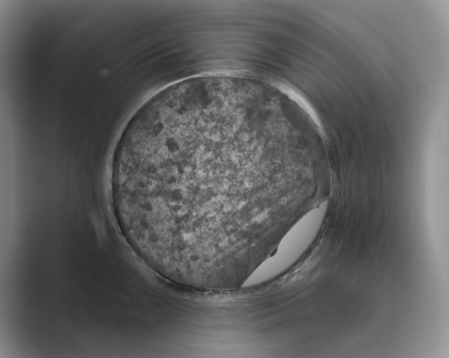 X0000088851099200707061028
