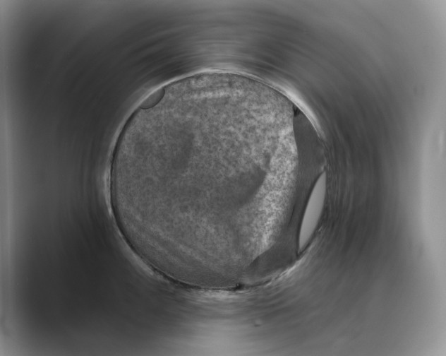X0000088851100200707061028