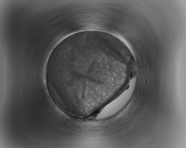 X0000088851102200707061028
