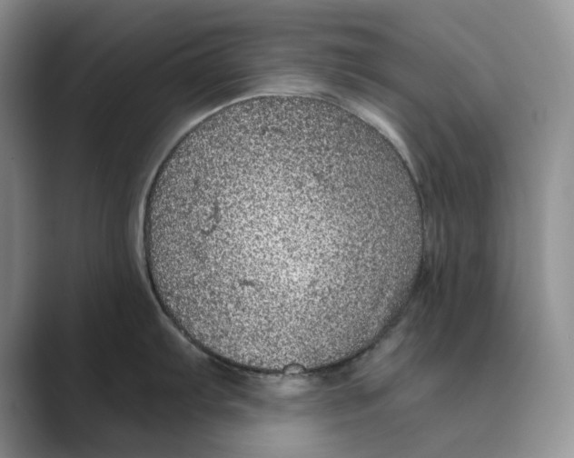 X0000088851103200707061028