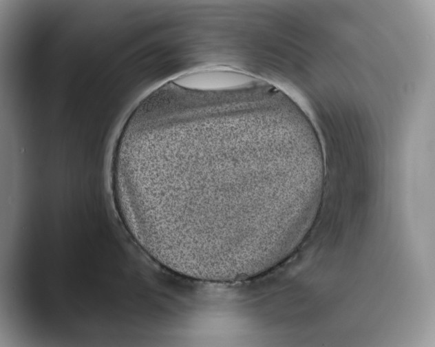 X0000088851104200707061028