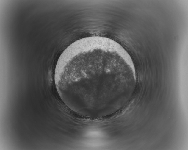 X0000088851106200707061028