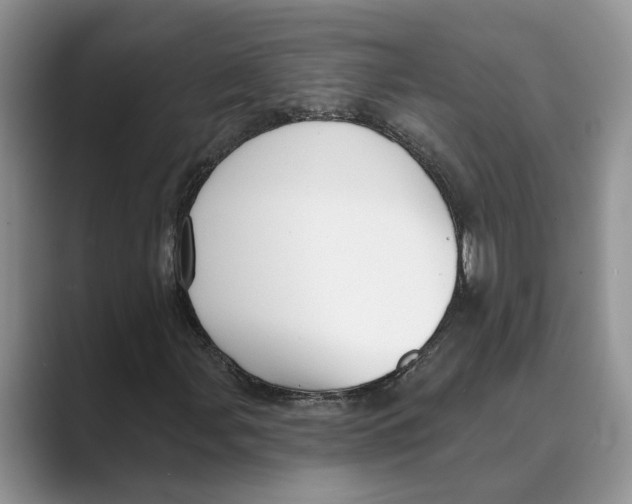 X0000088851107200707061028