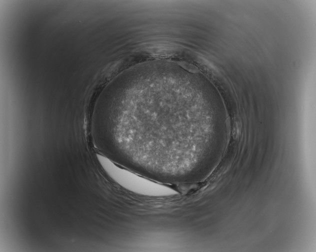 X0000088851108200707061028