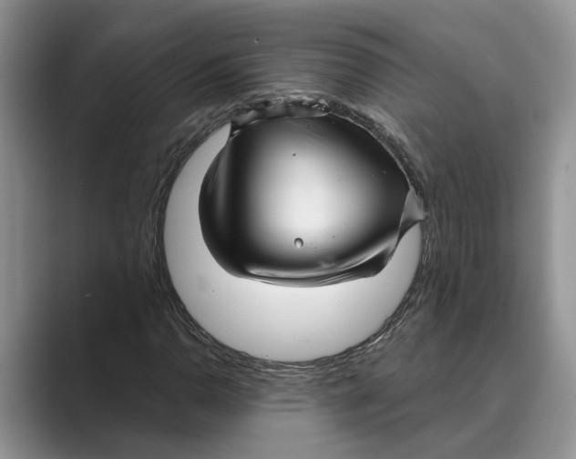 X0000088851110200707061028