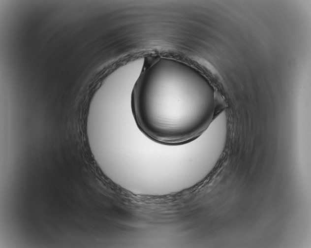 X0000088851112200707061028