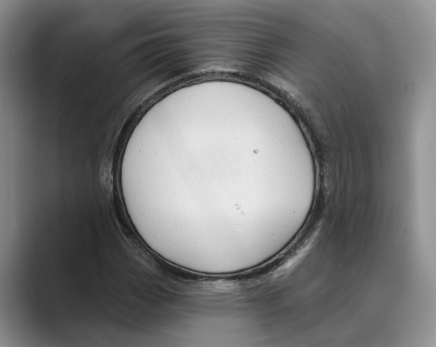 X0000088851113200707061028