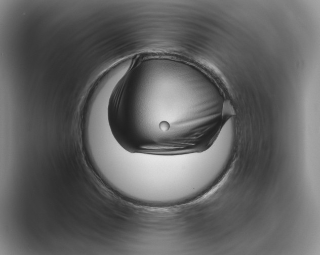 X0000088851114200707061028