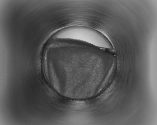 X0000088851115200707061028