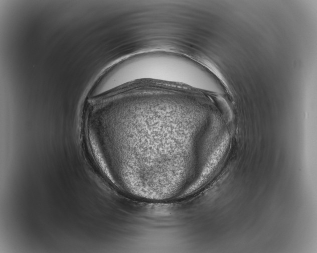 X0000088851116200707061028