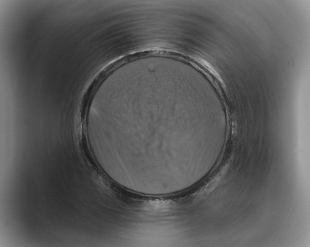 X0000088851117200707061028