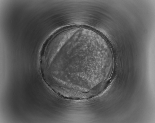 X0000088851118200707061028