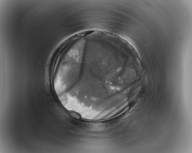 X0000088851120200707061028