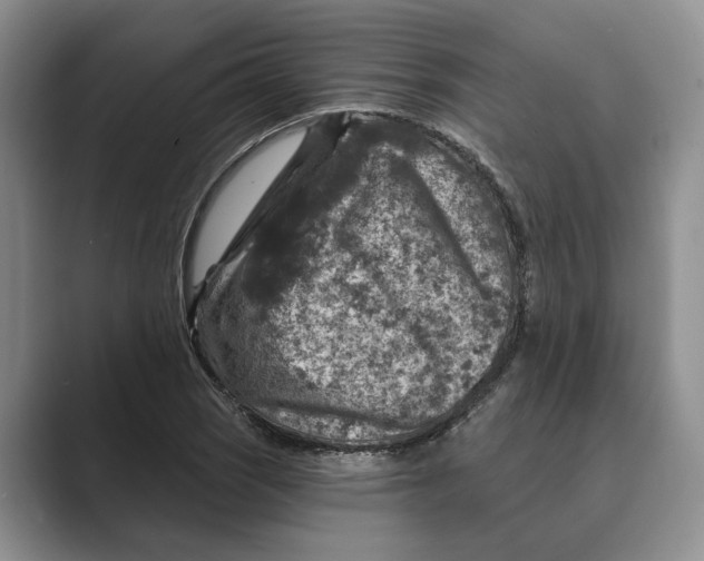 X0000088851121200707061028