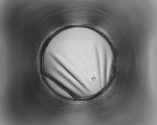 X0000088851122200707061028