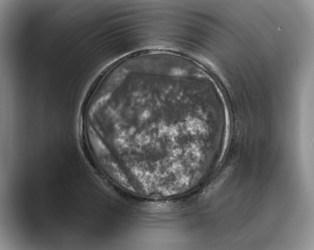X0000088851125200707061028