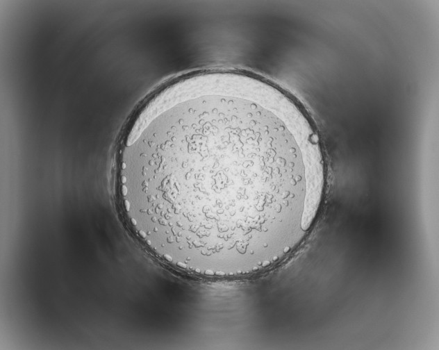 X0000088851126200707061028