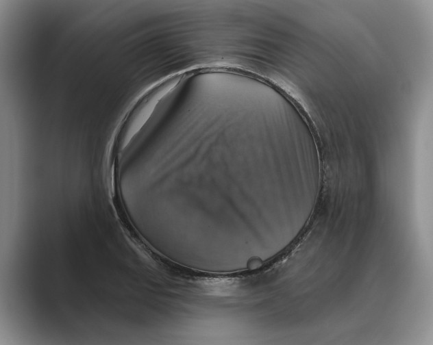 X0000088851127200707061028
