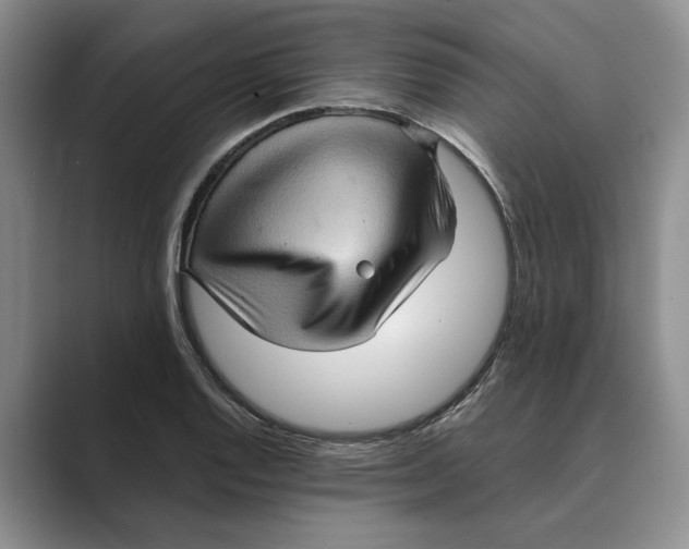 X0000088851128200707061028