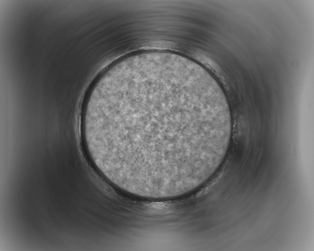 X0000088851130200707061028