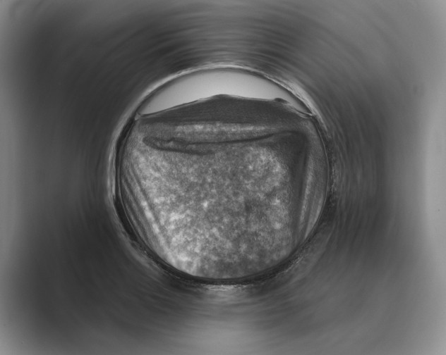 X0000088851132200707061028