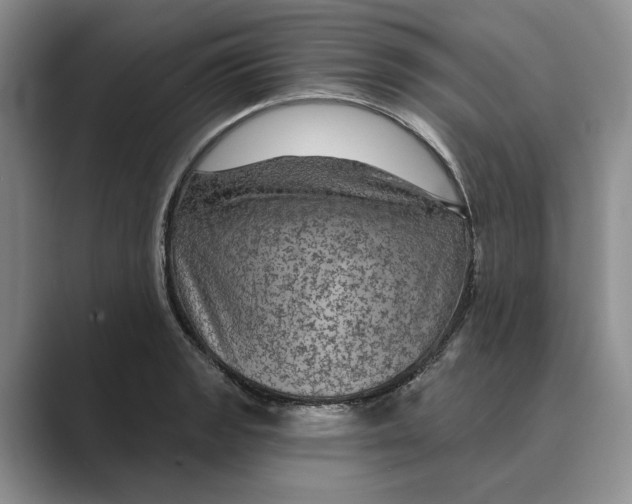 X0000088851133200707061028