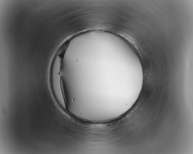 X0000088851135200707061028