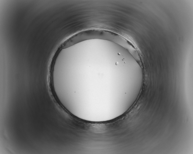 X0000088851136200707061028