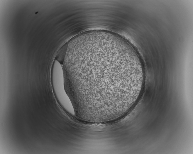 X0000088851137200707061028