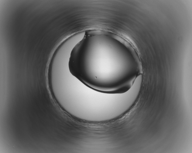 X0000088851138200707061028