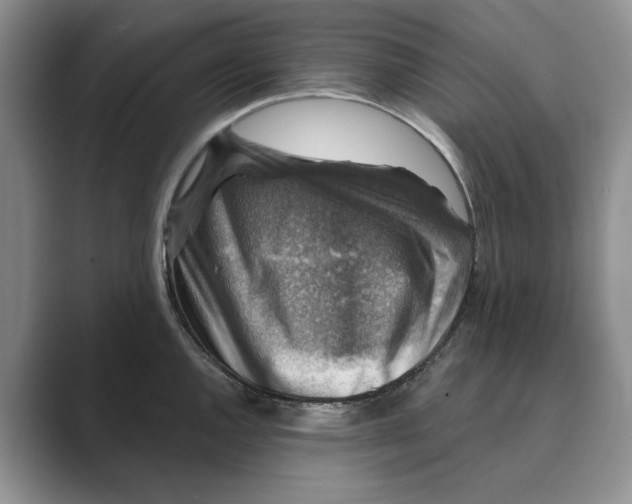 X0000088851144200707061028