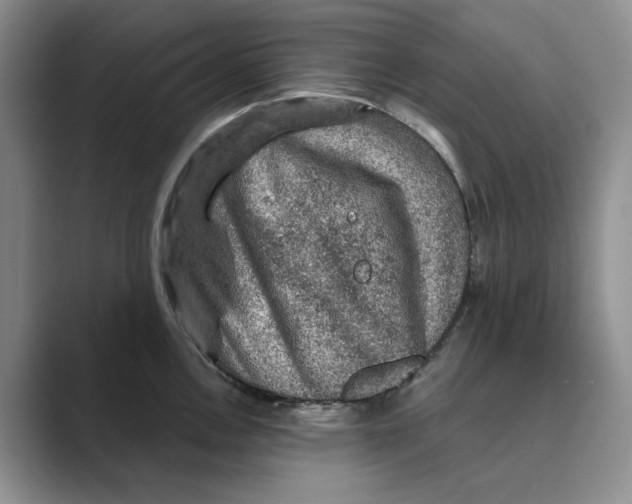 X0000088851146200707061028
