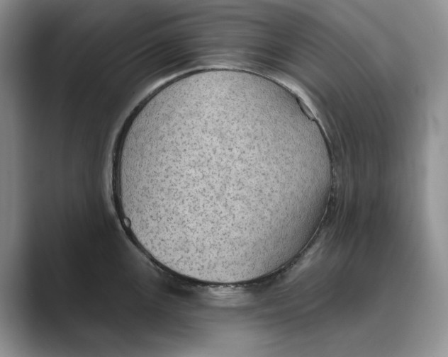 X0000088851147200707061028