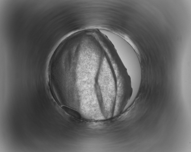 X0000088851148200707061028