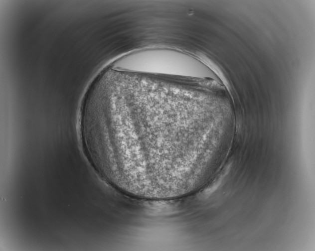 X0000088851149200707061028