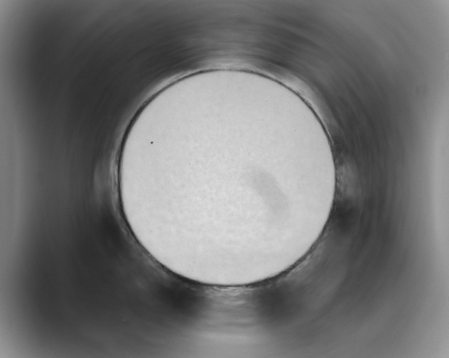 X0000088851150200707061028