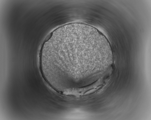 X0000088851151200707061028