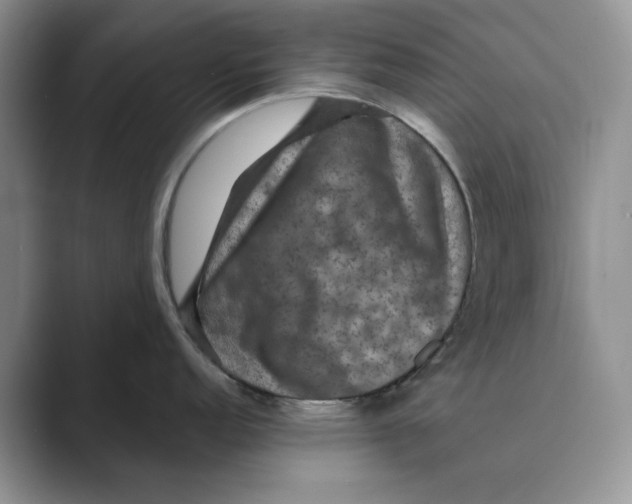 X0000088851152200707061028