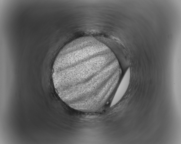 X0000088851153200707061027