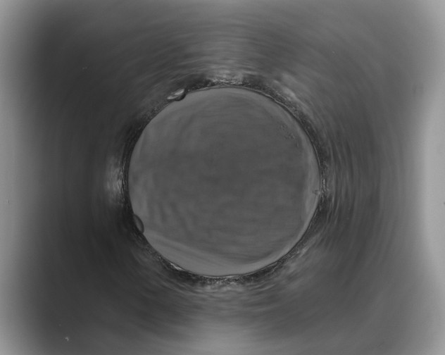 X0000088851154200707061027